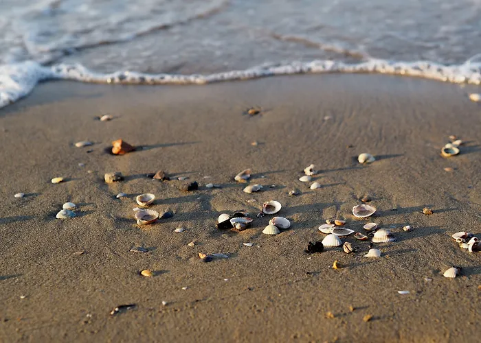 Family-friendly Poolside Tranquility *